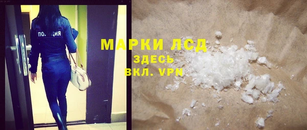 прущие грибы Наволоки