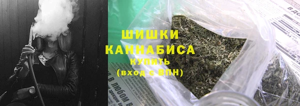 прущие грибы Наволоки