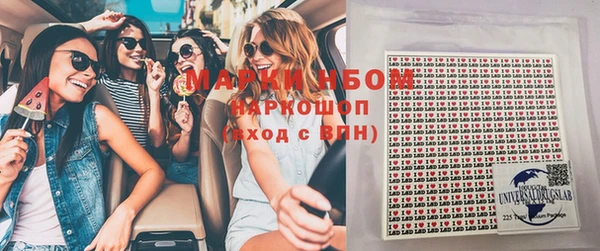 прущие грибы Наволоки