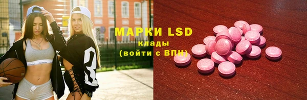 прущие грибы Наволоки
