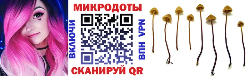 Галлюциногенные грибы GOLDEN TEACHER  Стрежевой 