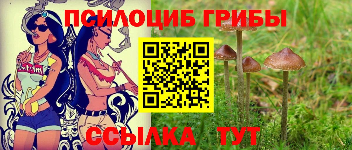 Галлюциногенные грибы MAGIC MUSHROOMS  закладка  Стрежевой  Псилоцибиновые грибы Magic Shrooms  Вход с VPN 