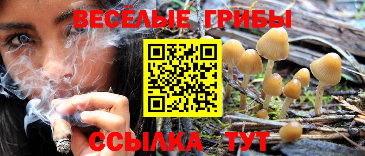 Галлюциногенные грибы GOLDEN TEACHER Стрежевой